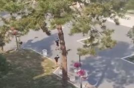 VIDEO: Maskirani muškarci sa palicama u centru Bačke Palanke, bačena i zapaljiva naprava