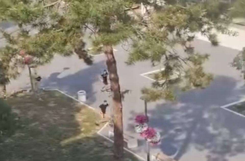 VIDEO: Maskirani muškarci sa palicama u centru Bačke Palanke, bačena i zapaljiva naprava VIDEO: Maskirani muškarci sa palicama u centru Bačke Palanke, bačena i zapaljiva naprava