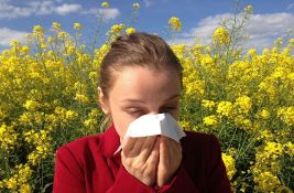 Studija: Zbog klimatskih promena sezona alergija sve duža