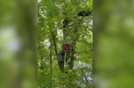 VIDEO: Paraglajderista spasen iz krošnje drveta kod Čačka