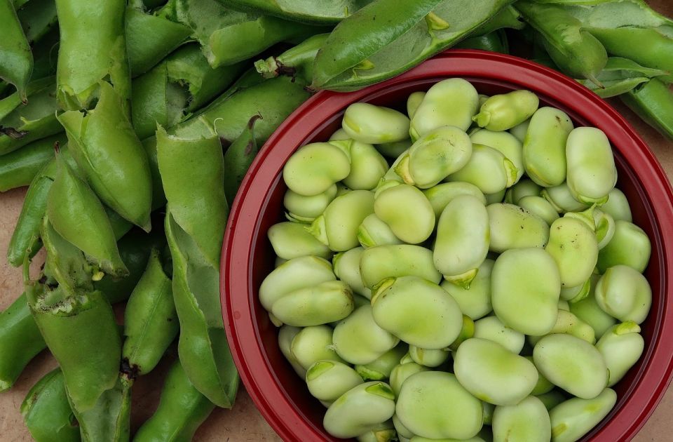 Zaboravljena mahunarka koja snižava holesterol i pritisak i pomaže kod mršavljenja