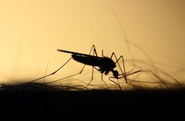 Registrovana prva dva slučaja groznice Zapadnog Nila ove godine u Srbiji 