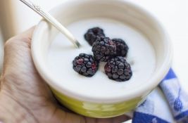 Grčki i običan jogurt - koje su razlike?