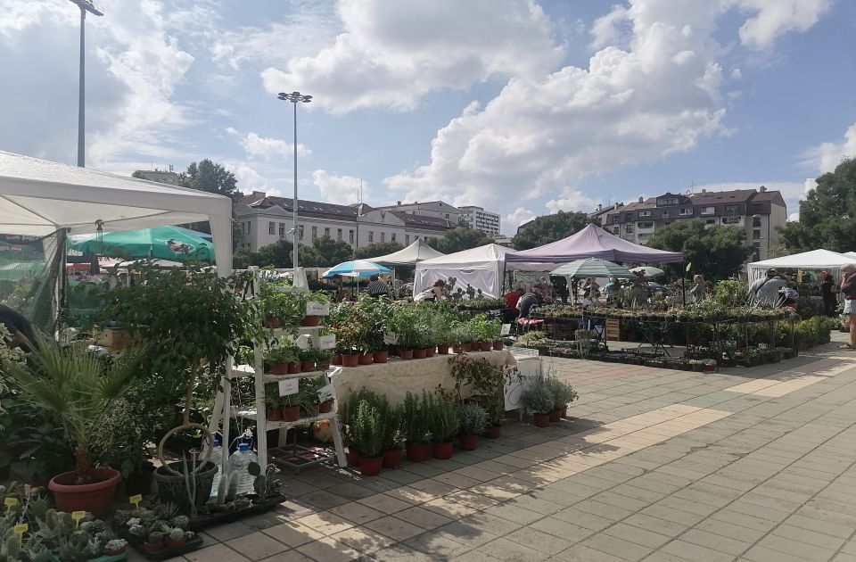 FOTO: Kakva je ponuda i kako se kreću cene na cvetnoj pijaci?