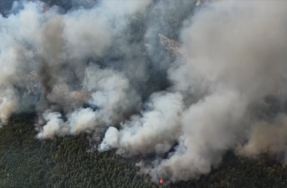 Lokalizovan požar u Deliblatskoj peščari nakon skoro mesec i po dana