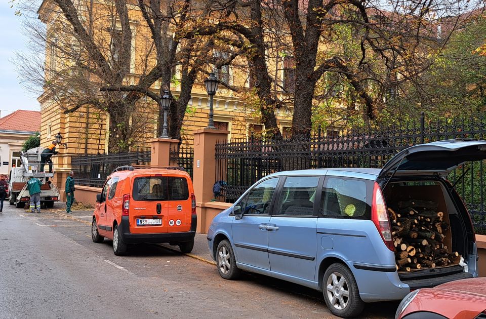 VIDEO: Radnici sekli grane u centru NS i slagali ih u privatno vozilo, 