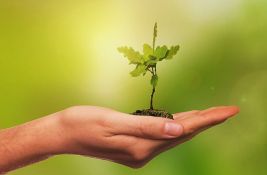 Berlin izglasao zakon o sadnji stabala: Do 2040. u gradu mora da ih bude milion