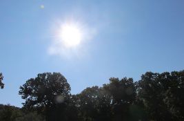 I naredni dani u Novom Sadu prolećni, za vikend sunčano