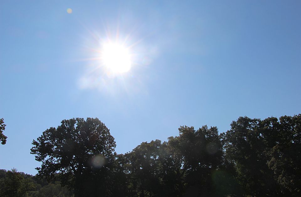 I naredni dani u Novom Sadu prolećni, za vikend sunčano