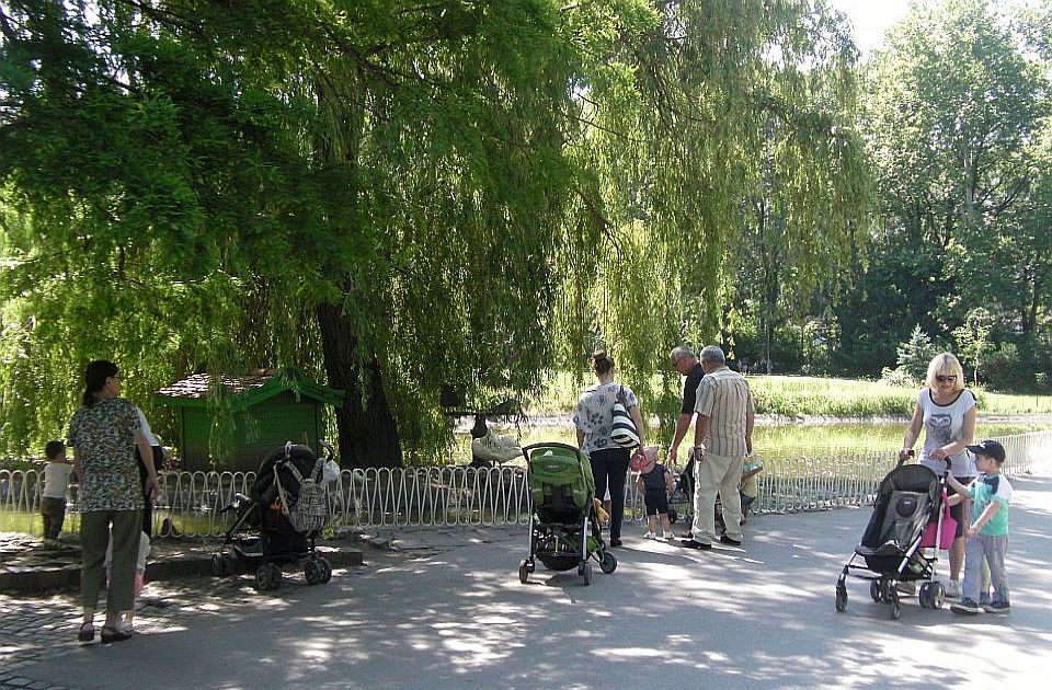 Topao dan u Novom Sadu - iskoristite sunčano vreme