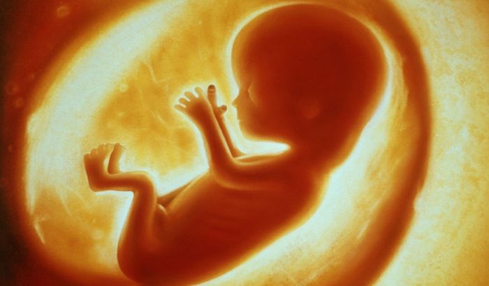Veštačka oplodnja uskoro dostupna i lezbejkama u Francuskoj