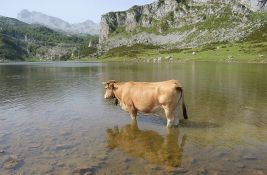 Policija u Nemačkoj nije uspela da 