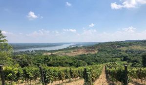 Inspekcija pronašla brojne nezakonitosti u vezi sa radovima na Fruškoj gori, SPC poriče da je izvodila radove