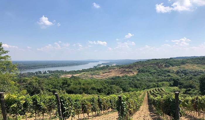 Inspekcija pronašla brojne nezakonitosti u vezi sa radovima na Fruškoj gori, SPC poriče da je izvodila radove