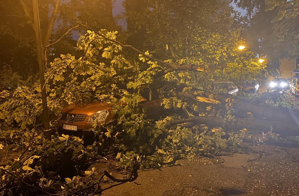 FOTO, VIDEO: Nevreme u Novom Sadu napravilo haos