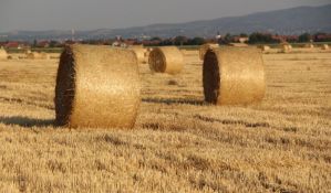 Holandija koja je veličine Vojvodine izvozi hranu za 90 milijardi dolara, a Srbija za 3,6 milijardi