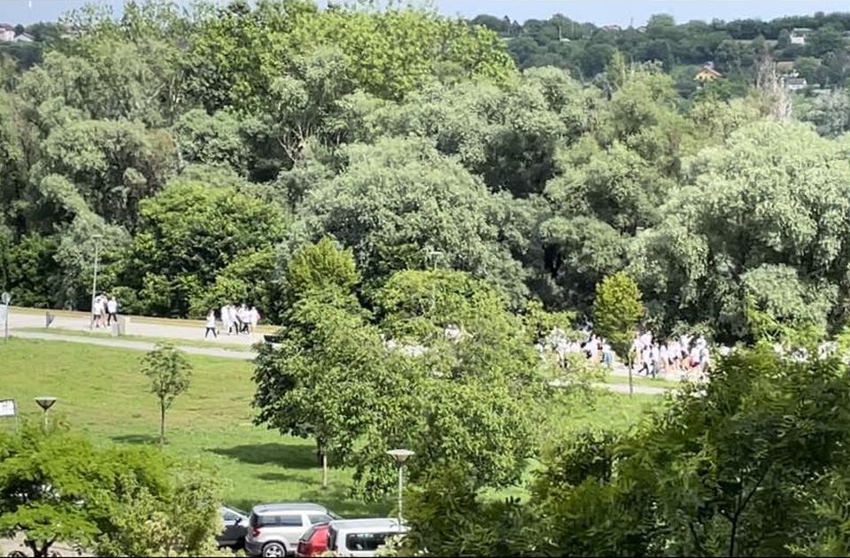 Masovna tuča maturanata na Štrandu, dva dečaka povređena