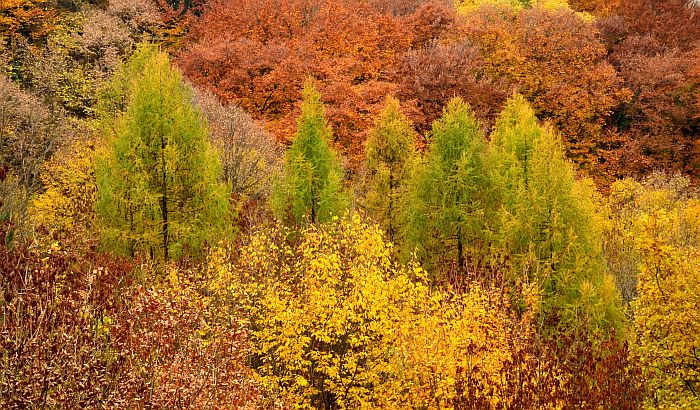 FOTO: Spasene tri tinejdžerke zaglavljene na steni na Fruškoj gori