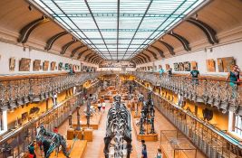 Pronađen najstariji otisak kloake jednog dinosaurusa: Evo zašto je to naučnicima važno