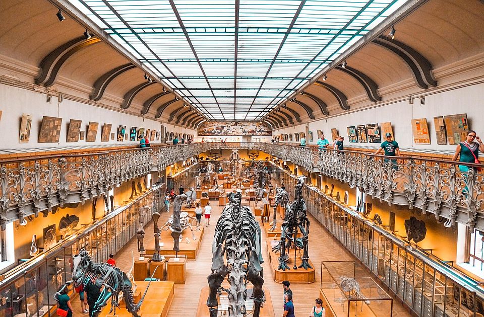 Pronađen najstariji otisak kloake jednog dinosaurusa: Evo zašto je to naučnicima važno