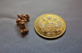 Državljanin Rumunije Novosađaninu od 80 godina ukrao tri zlatnika