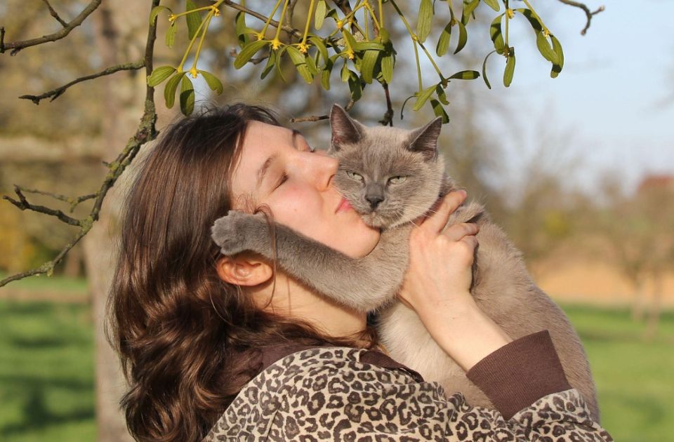 Otkrivena neobična hormonska povezanost između mačaka i njihovih vlasnika