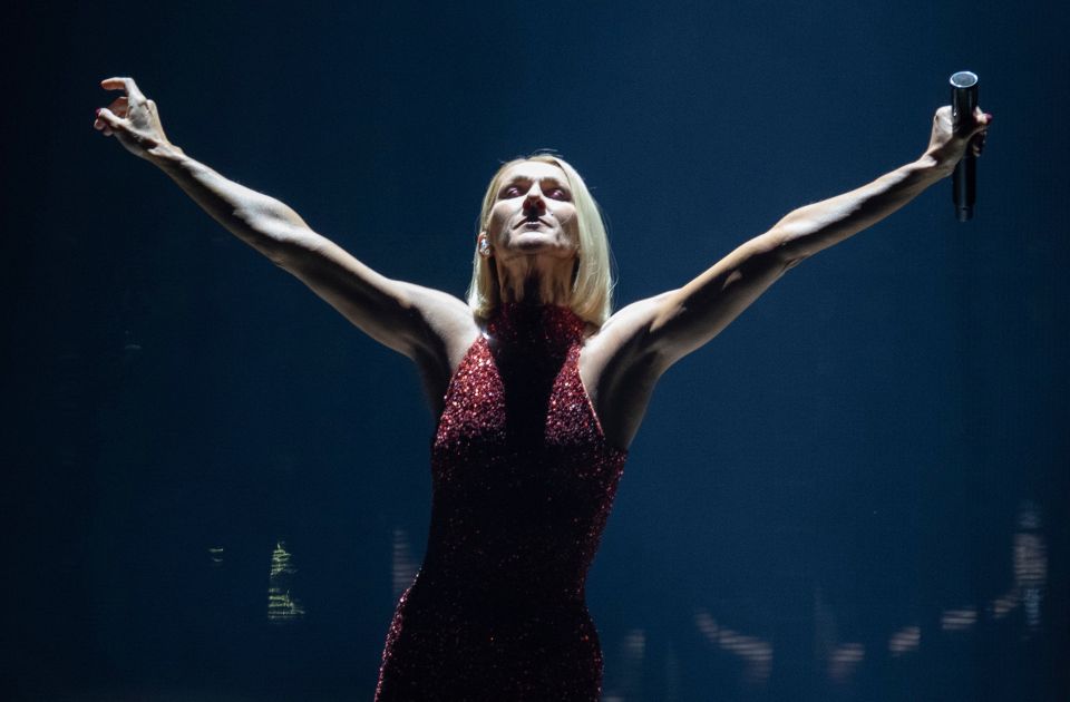 Verovao da je u emotivnoj vezi sa Selin Dion - prevaren za 10.000 evra