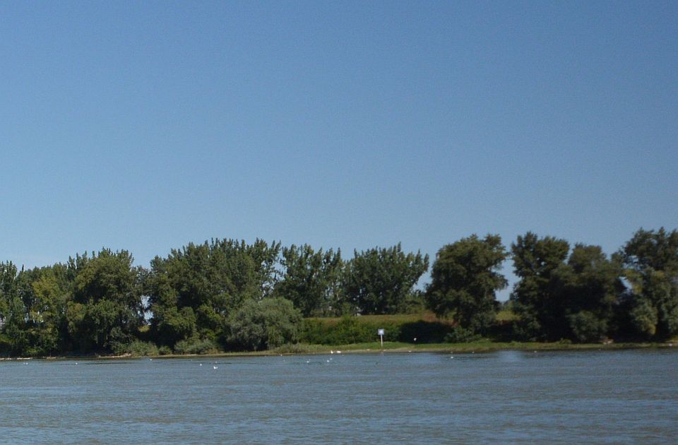 Zbog jakog vetra na Dunavu ne saobraća rumunska skela za Golubac 