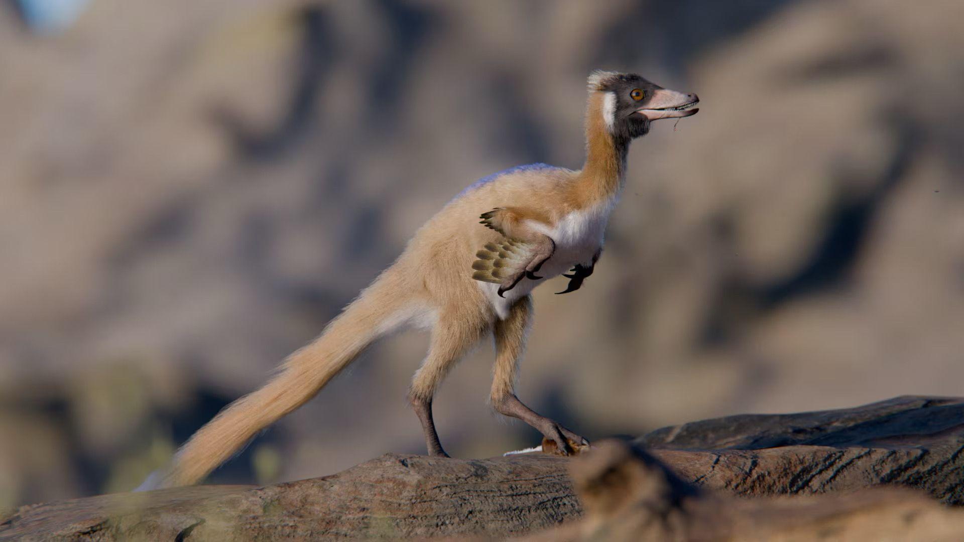 Najmanji među najvećima: Novo otkriće iz sveta dinosaurusa - Komentari ...
