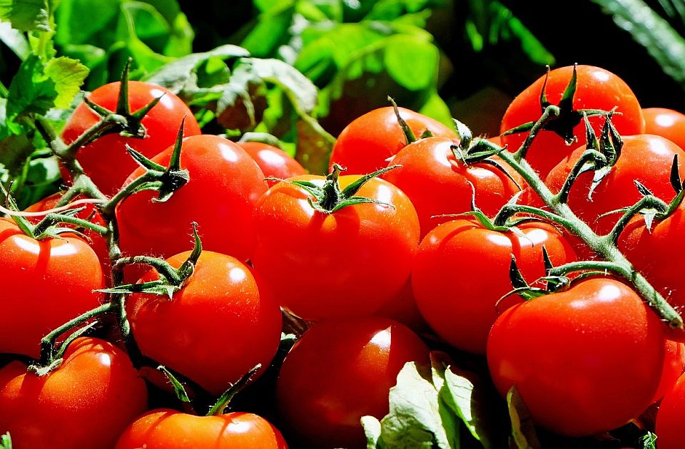 EK potvrdila da Srbija ispunjava standarde u kontroli bezbednosti hrane biljnog porekla
