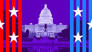 Vodič kroz 'izbore sredine mandata' u Americi