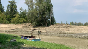Pitomi, tužni Dunav i vonj osušenog mulja: BBC u Bezdanu